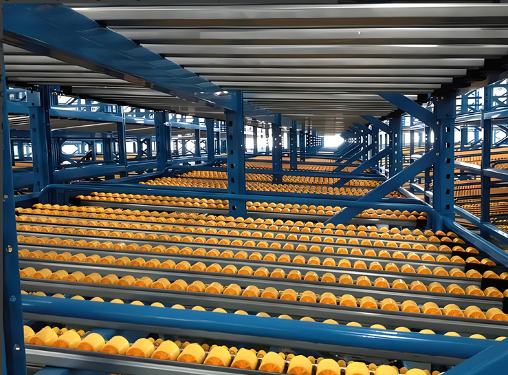 Warehouse Storage Flow Rack
